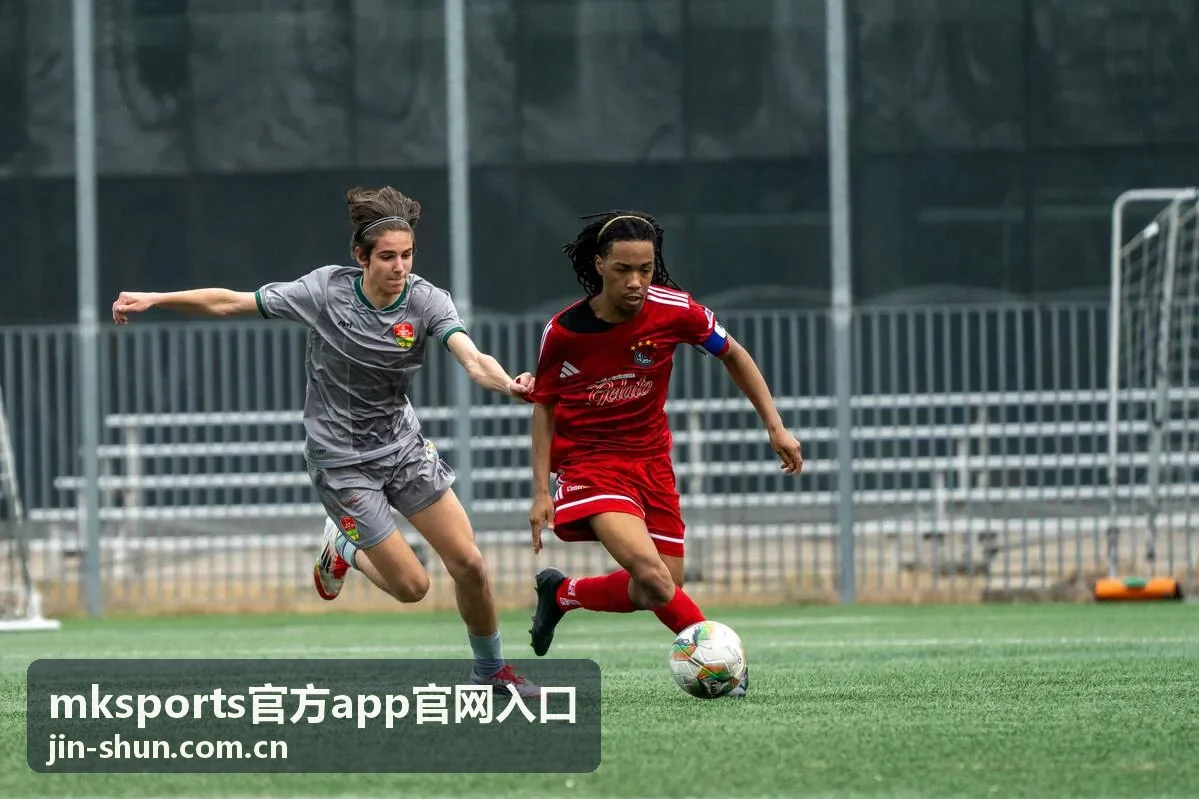 mksports官方app官网入口数据复盘片段封面
