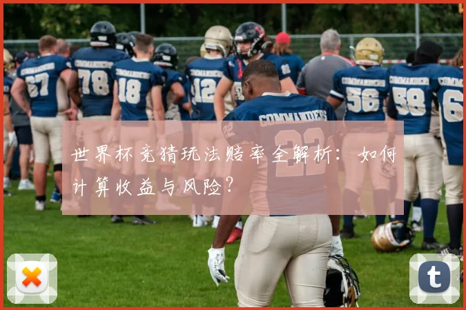 世界杯竞猜玩法赔率全解析：如何计算收益与风险？