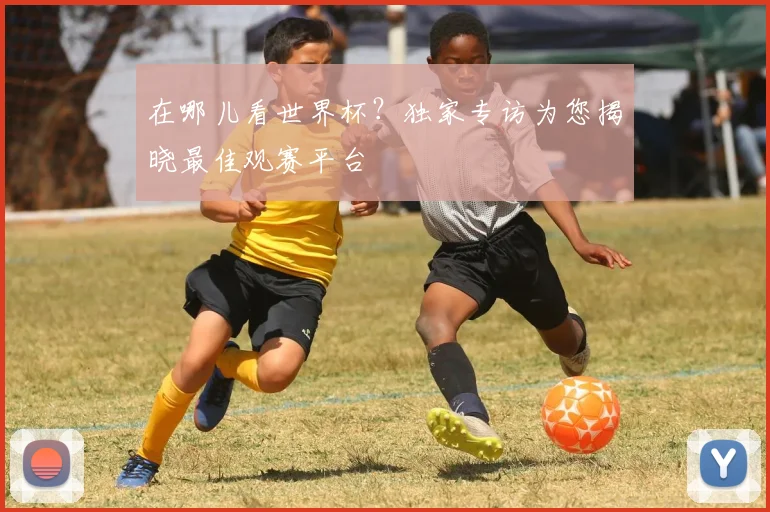 在哪儿看世界杯？独家专访为您揭晓最佳观赛平台