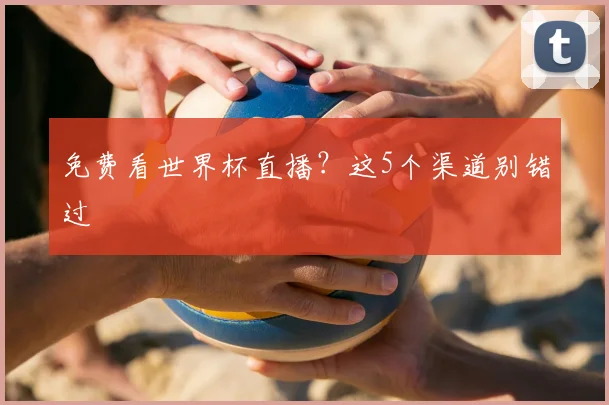 免费看世界杯直播？这5个渠道别错过