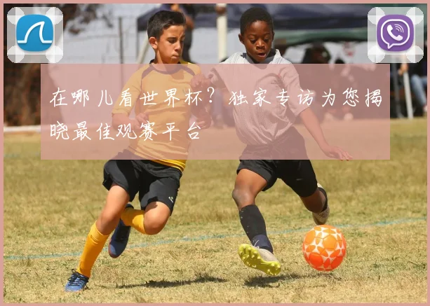 在哪儿看世界杯?独家专访为您揭晓最佳观赛平台