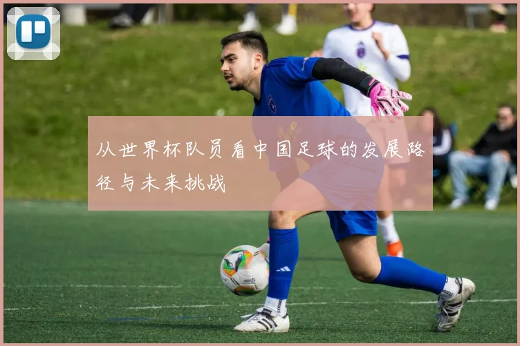 从世界杯队员看中国足球的发展路径与未来挑战