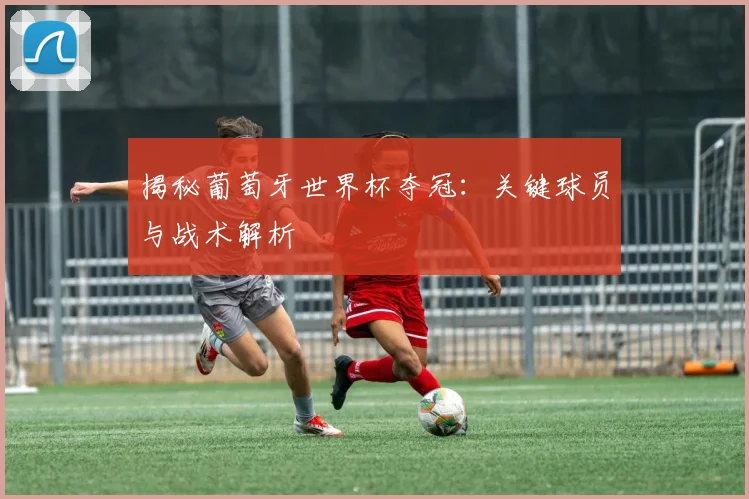 揭秘葡萄牙世界杯夺冠：关键球员与战术解析